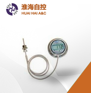 �͵��¶���ʾ��